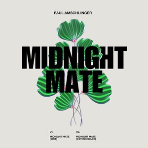 Midnight Mate (Extended Mix)