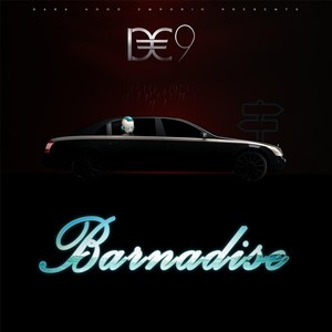 Barnadise