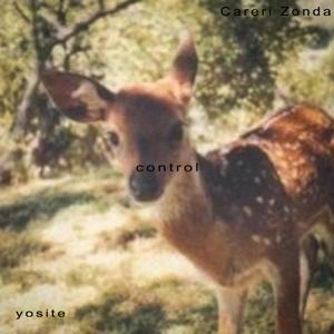 you'll live in my dreams forever (Live)