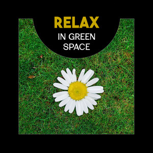 Relax in Green Space – Sound of Beautiful Nature, Calm Your Mind with Tranquility Zen, Deep Dream and Inner Peace, Harmony