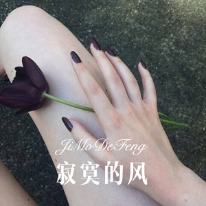 寂寞的风 (Remix)