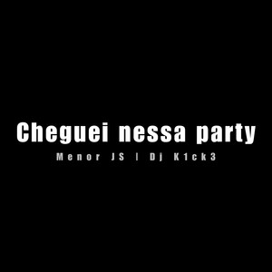 Cheguei Nessa Party (Explicit)