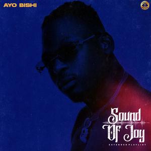 Marry you(feat. Zlatan Ibile)
