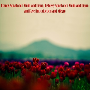 Sonata for Violin and Piano in A Major, FWV 8 - I. Allegretto ben moderato