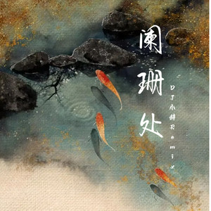 阑珊处 (DJ小辞Remix)