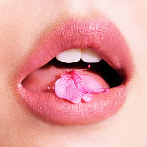 桜が降る夜は (樱花飘落的夜晚)