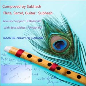 Echoes of conversations Raag Brindavani Sarang (feat. Subhash Rajpurohit)