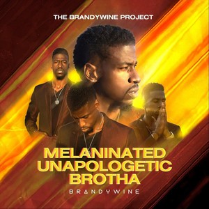 Melaninated Unapologetic Brotha