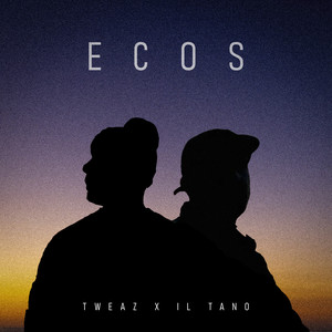 ECOS (Explicit)