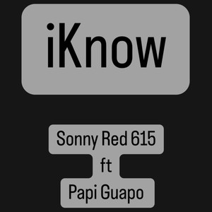 iKnow (feat. Papi Guapo) [Explicit]