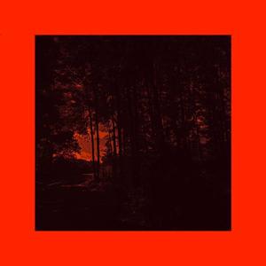 BEST AS I CAN (Explicit)