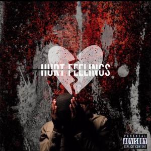 HURT FEELINGS (Explicit)