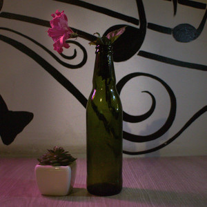 La que me pone a beber (Explicit)