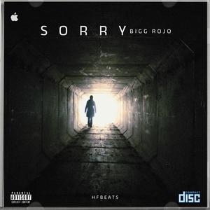 Sorry (feat. Bigg Rojo) (Explicit)