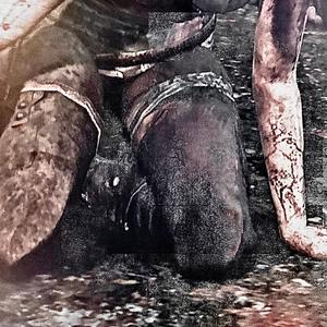 ill never forget you (feat. caine) (Explicit)