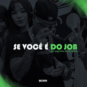 SE VOCÊ É DO JOB (feat. Mc Neguinho do ITR) (Explicit)