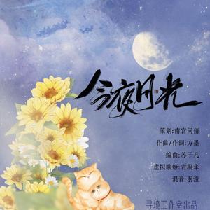 今夜月光