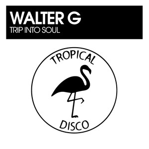 Trip Into Soul (Original Mix)