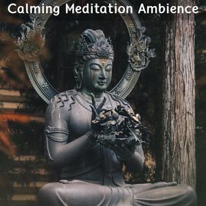 Calming Meditation Ambience