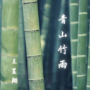 青山竹雨