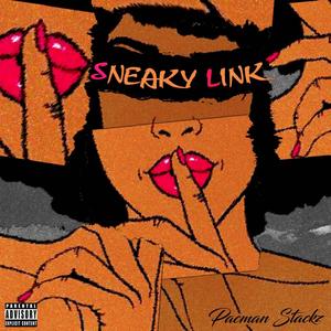 Sneaky Link (#1 Freak) (Remix) [Explicit]