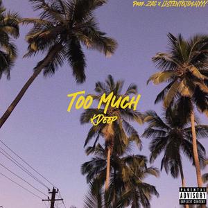 Too Much (Explicit)