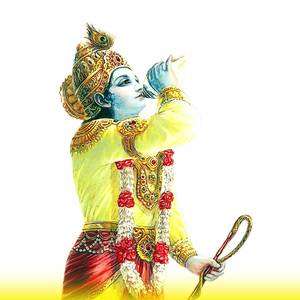 Krishna Shankh - Instrument