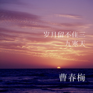 岁月留不住三九寒天