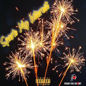 Spark My Interest (feat. Lani Flaze) (Explicit)