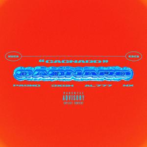 Cagnard (feat. NX, PASMO & AL777) (Explicit)