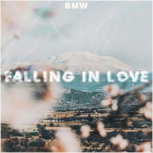 falling in love (Explicit)