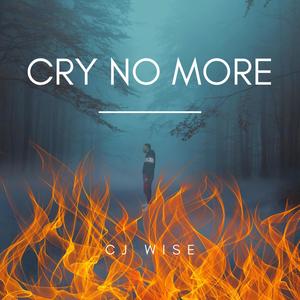 Cry No More (Explicit)