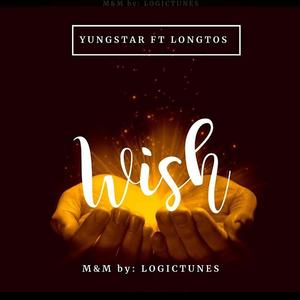 wish (feat. longtos)