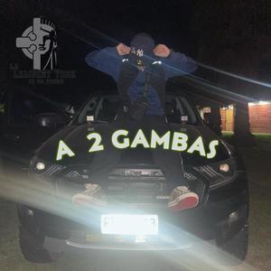 A 2 Gambas (Explicit)