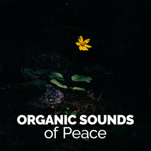 Organic Sounds of Peace