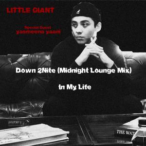 Down 2Nite (feat. Yasmeena Yaani) (Midnight Lounge Mix|Explicit)