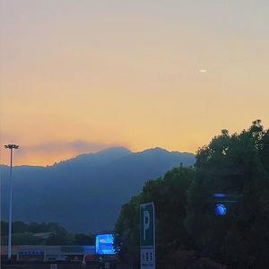 秋冬春夏都关于你