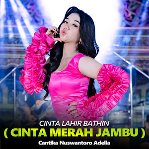 Cinta Lahir Bathin ( Cinta Merah Jambu )