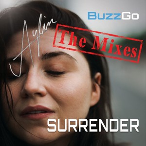 Surrender (The Mixes)