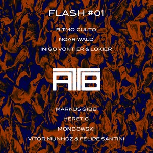 Flash #01