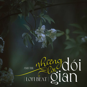 Những Lời Dối Gian (Beat) (Lofi Mix)