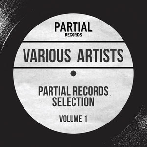 Partial Records Selection, Vol. 1