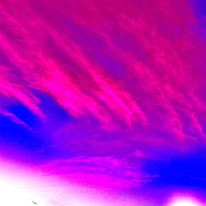 PIGZD (Demo|Explicit)