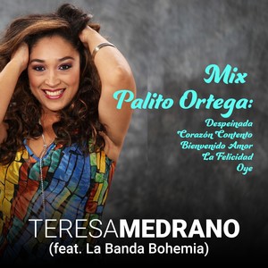 Mix Palito Ortega: Despeinada / Corazón Contento / Bienvenido Amor / La Felicidad / Oye