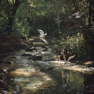 West Coast Soundscape - Water Whispers Among Warbling Wings