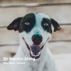 Sir Bounce Along (Radio Edit)