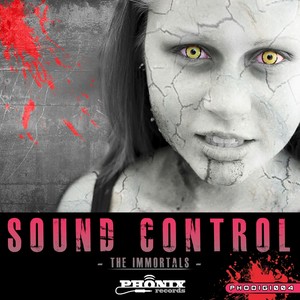 Back To North (Sound Control Remix)
