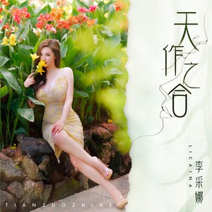 天作之合 (伴奏)