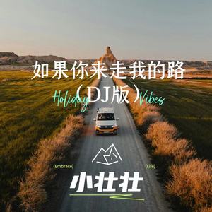 如果你来走我的路 (DJ版)
