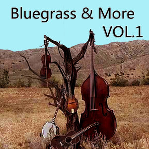 Bluegrass & More, Vol. 1